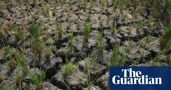 Australia Faces Record El Niño and Economic Shifts Amid Ongoing Trials and Artistic Celebrations
