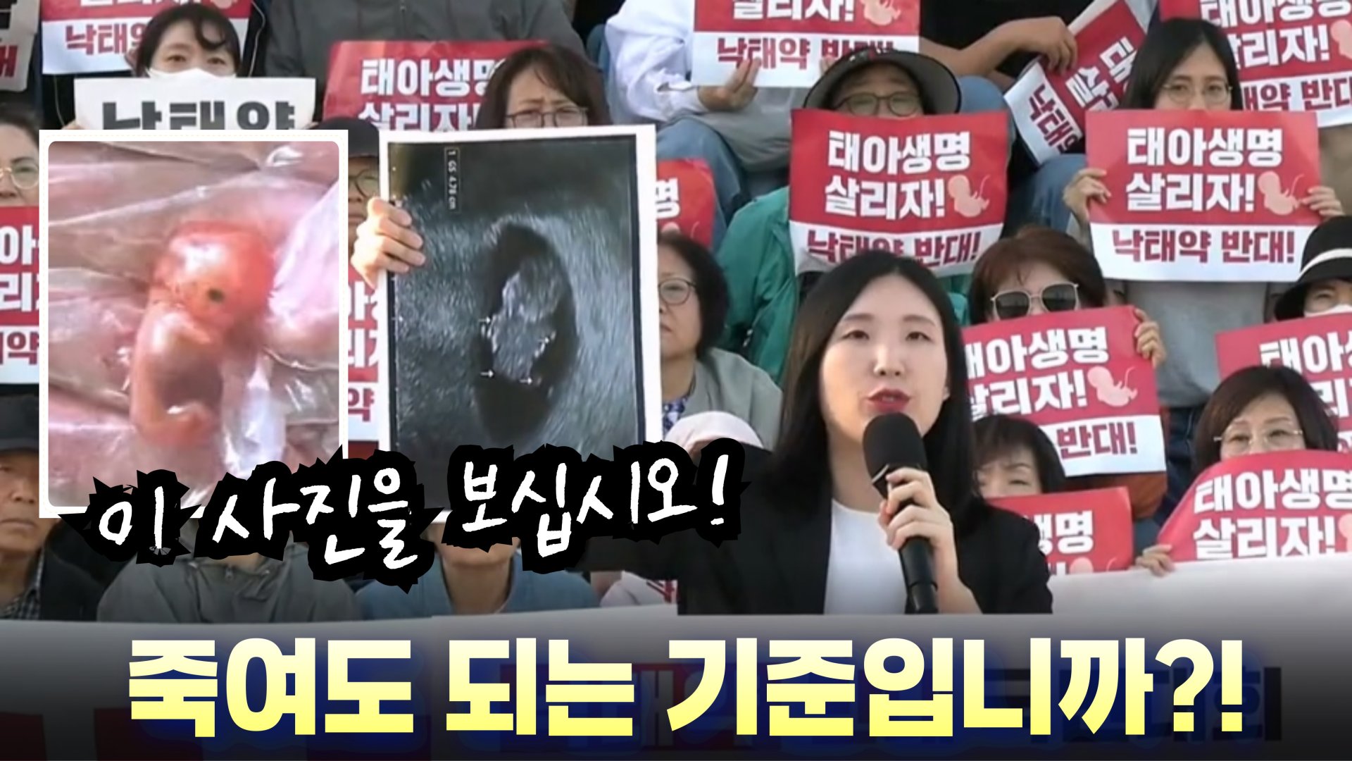 낙태약 도입 반대 국민대회, 임산부 한아름 씨 발언