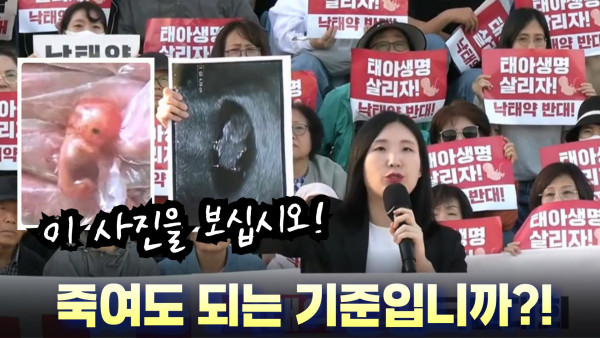 낙태약 도입 반대 국민대회, 임산부 한아름 씨 발언