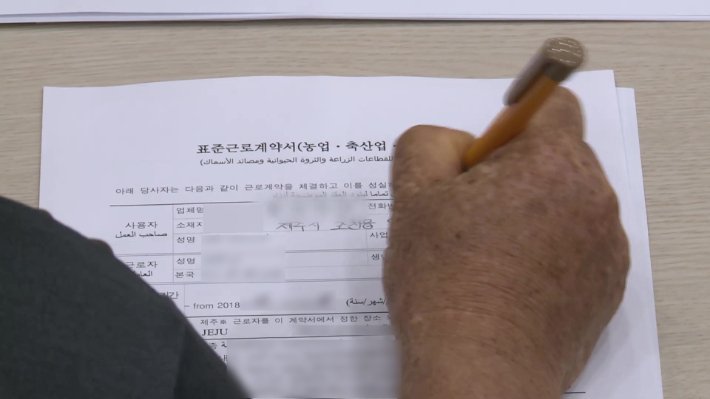 지난해 산업재해 사망 외국인 노동자 중 F-4 비자 소지자 비율 가장 높아