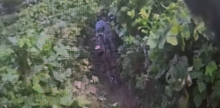 합참, DMZ 지뢰 추정 폭발사고 관련 정밀조사 진행