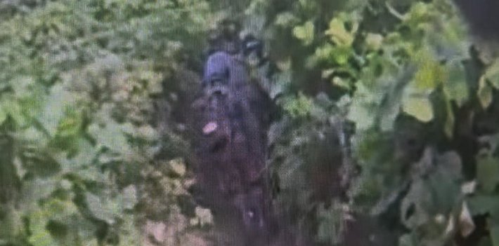 DMZ 지뢰 폭발 사고, 은폐 및 지연 의혹 공방 지속