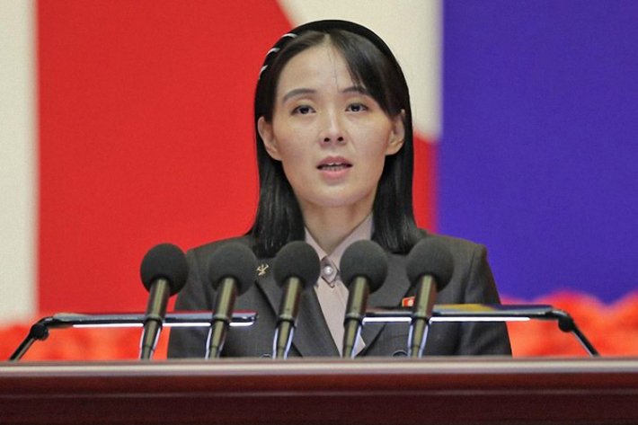 김여정, 대북 의료장비 지원 계획을 비난