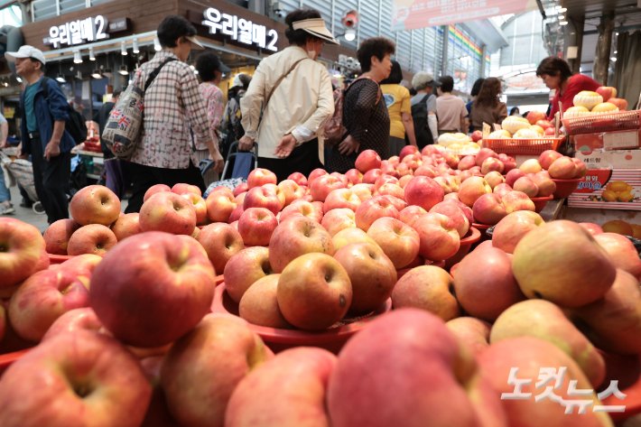 채소와 과일 가격 하락, 축산물 가격은 품목별로 엇갈려