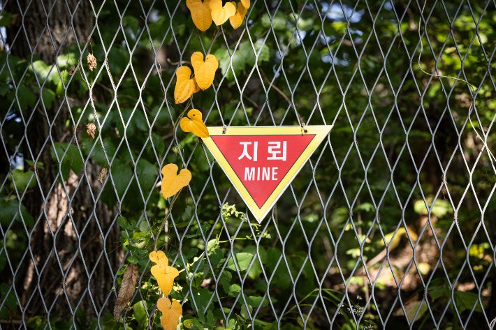 정부, 북한 지뢰 폭발 사고 관련 유엔안보리 의장에 서한 발송 예정