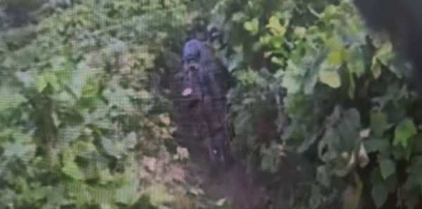 합참, DMZ 지뢰 추정 폭발사고 관련 정밀조사 진행