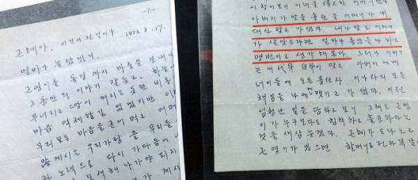 유영하 의원, 영화 