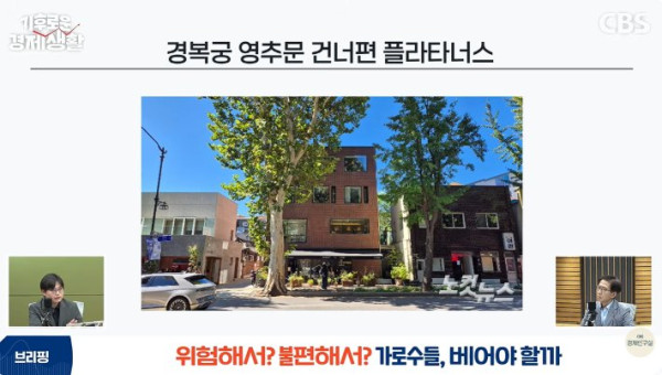 서울 가로수 벌목 논란, 안전과 민원 사이의 갈등