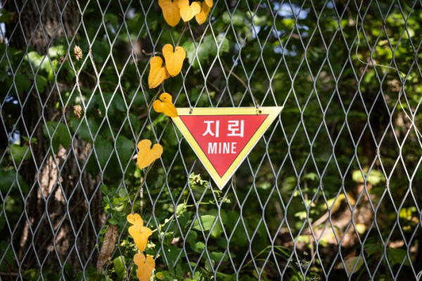 정부, 북한 지뢰 폭발 사고 관련 유엔안보리 의장에 서한 발송 예정
