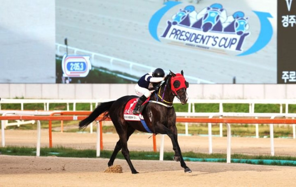 제22회 대통령배 경마, 11일 렛츠런파크 서울에서 개최