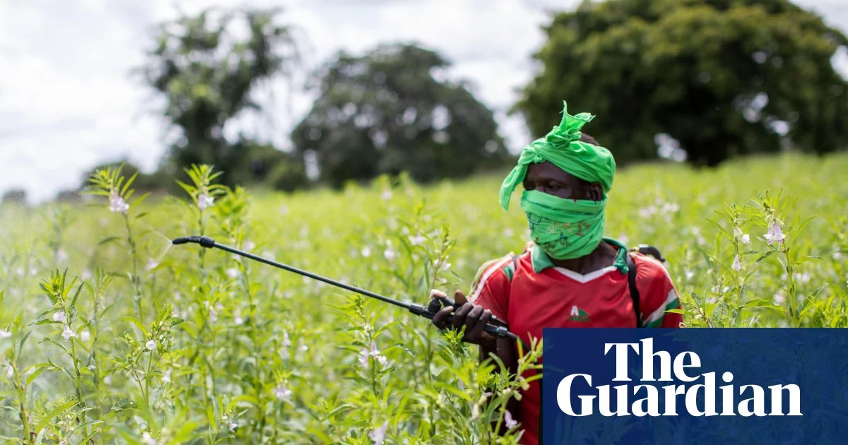 Global Pesticide Poisoning Crisis and Japan's New Speed Limi…